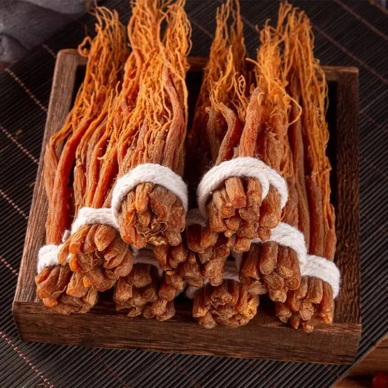 Korean red ginseng